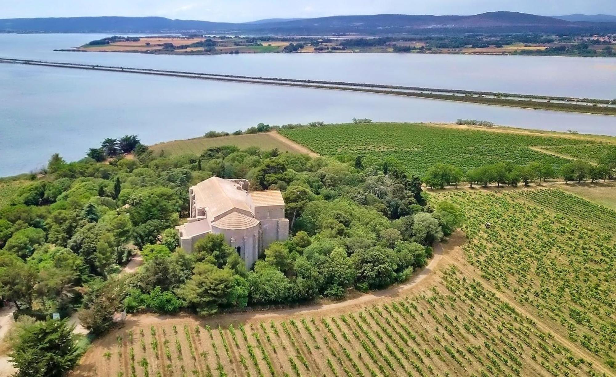 Sable & Pampas - Meuble De Tourisme 5 Etoiles Leilighet Carnon-Plage Eksteriør bilde